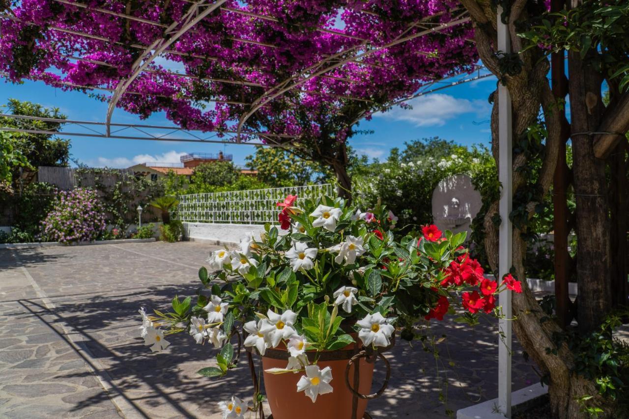 Villa Iolanda Piano di Sorrento Exterior foto